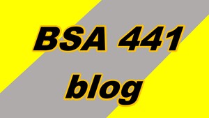 BSA 441 blog